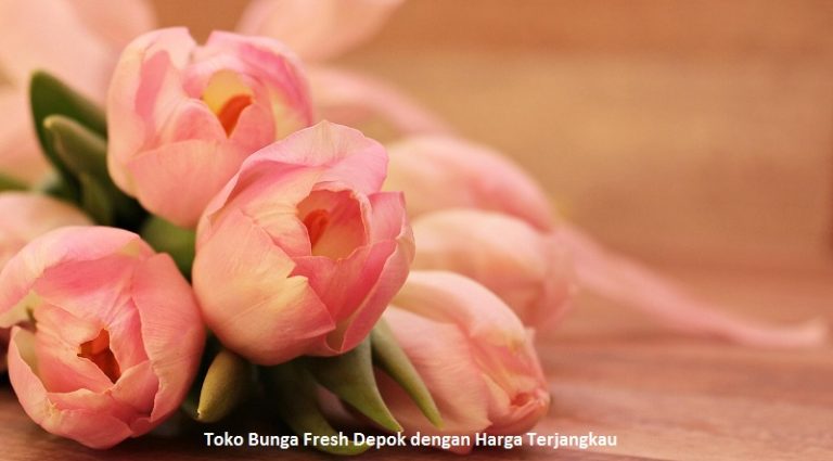 Toko Bunga Fresh Depok dengan Harga Terjangkau